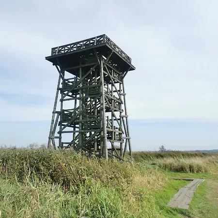 Apartman Apatrament Krewetka *