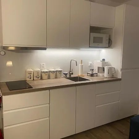 Apatrament Krewetka Apartment Rowy (Pomerania)