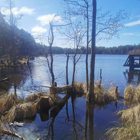 Apatrament Krewetka * Rowy