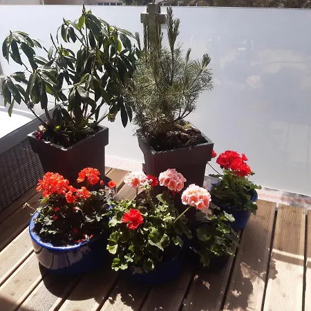 Apartman Apatrament Krewetka *