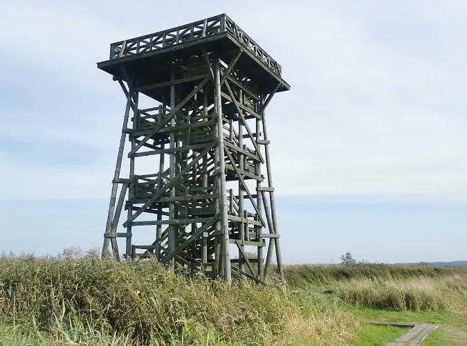 Apartament Apatrament Krewetka *