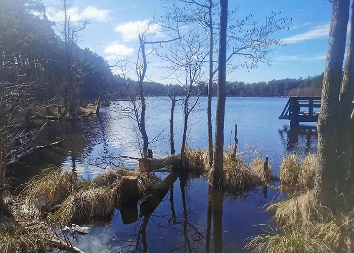 Apatrament Krewetka * Rowy (Pomerania)