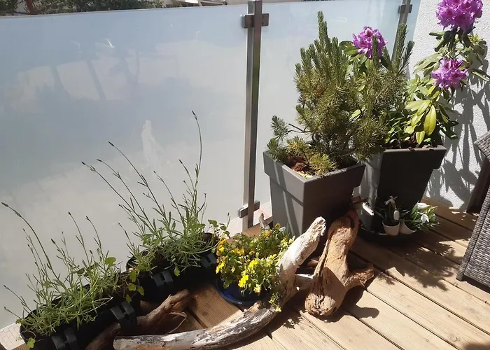 Apatrament Krewetka *