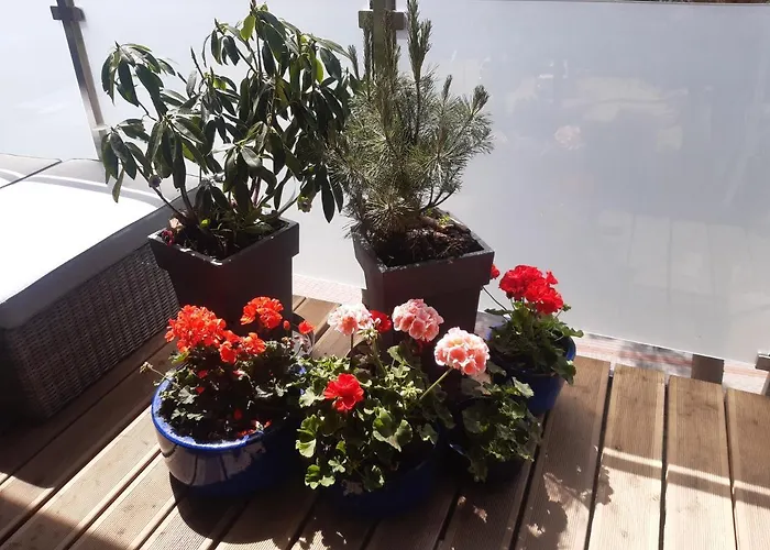 Appartement Apatrament Krewetka *